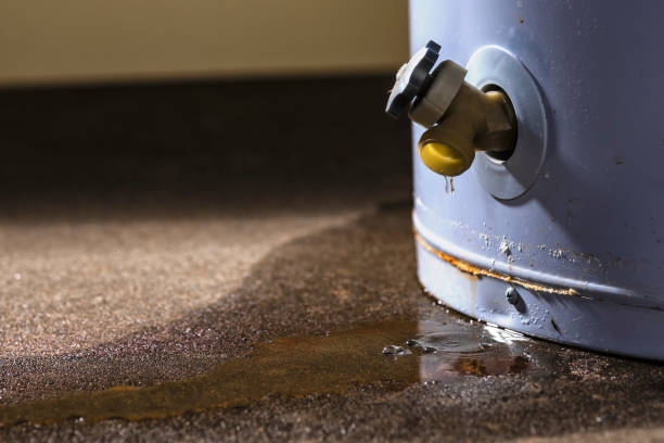 Best 24/7 water damage repair  in Gambier, OH