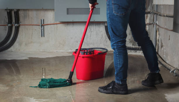 Best Mold removal after water damage  in Gambier, OH
