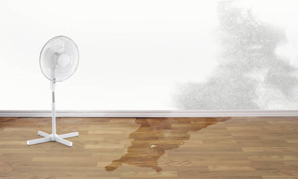 Best Water damage cleanup near me  in Gambier, OH