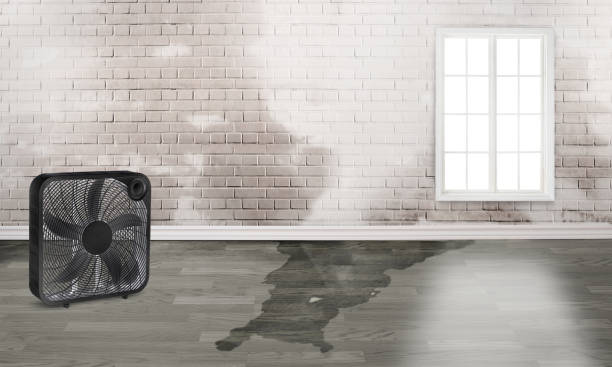 Best Ceiling water damage repair  in Gambier, OH